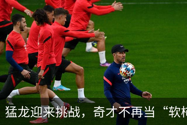 猛龙迎来挑战，奇才不再当“软柿子